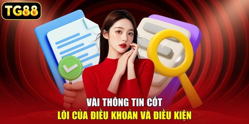 Vài thông tin cốt lõi của điều khoản và điều kiện